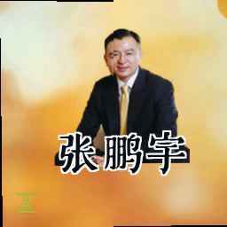 张鹏宇