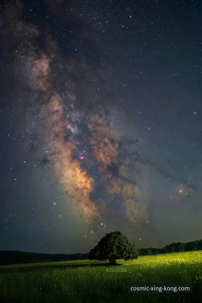 资深用户分享：星空点击惊喜背后的体验优化实战经验
